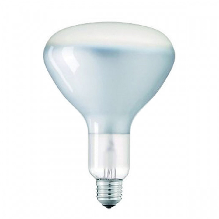 Filament R125 E27 FR i gruppen Produkter / Ljuskllor / LED-lampor hos Homelight AB (5307003960)