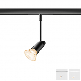 All-in Clareo spotlight